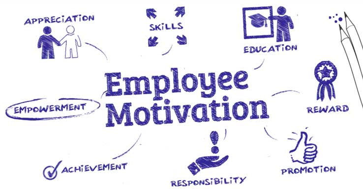 The Drivers of Employee Motivation